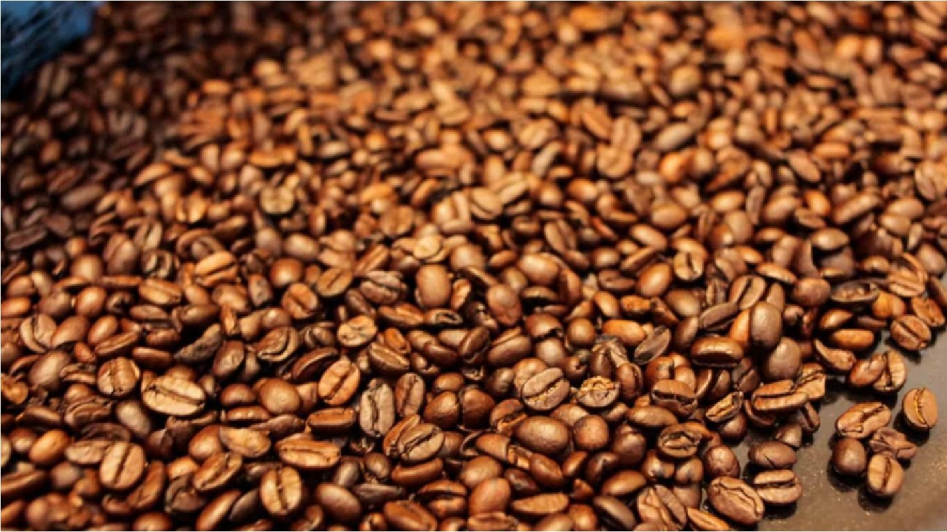 Did You Taste Starbucks Costa Rica Coffee?