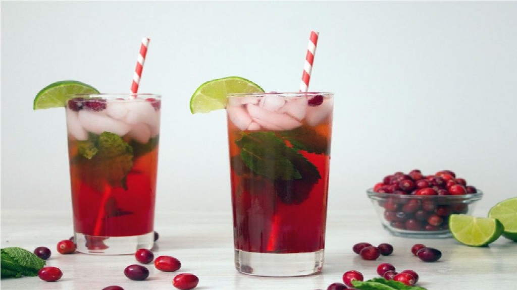 cranberry-mojito