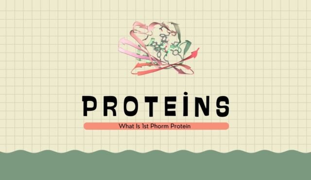 What Is 1st Phorm Protein