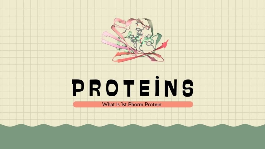 What Is 1st Phorm Protein & How Much 1st Phorm Protein Do You Need?